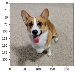 그림 13-2. 코드 결과